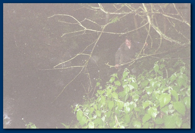 600x399 pixels (116K)